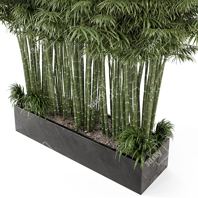 Rusty Concrete Pot Set with Outdoor Bamboo Plants 3D model image 4