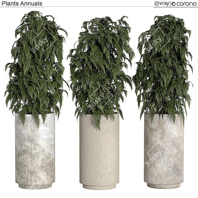 All-In-One Plants Collection 3D model image 1