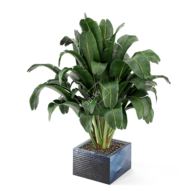 Exquisite Indoor Plant Collection 3D model image 6