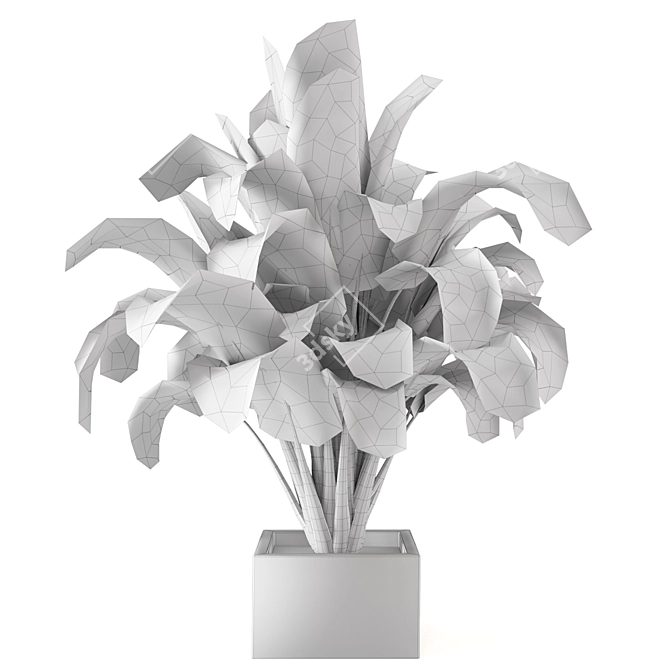 Exquisite Indoor Plant Collection 3D model image 7