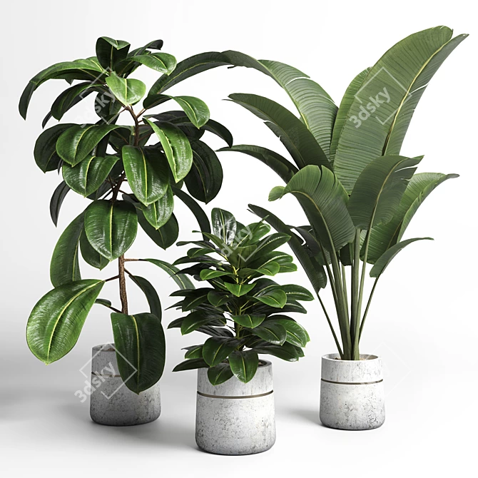 Modern Concrete Vase with Indoor Plant 3D model image 1