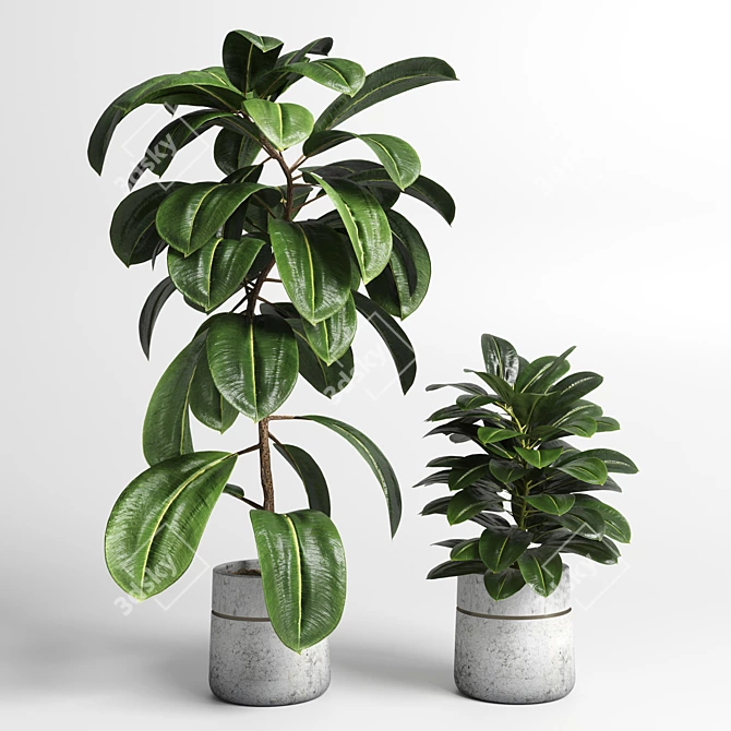 Modern Concrete Vase with Indoor Plant 3D model image 2