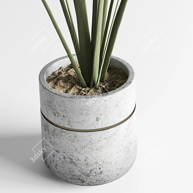 Modern Concrete Vase with Indoor Plant 3D model image 4