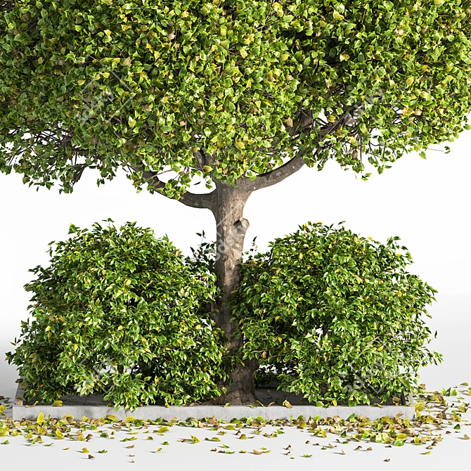 Outdoor Oasis Tree: Natural Beauty for Your Space 3D model image 2