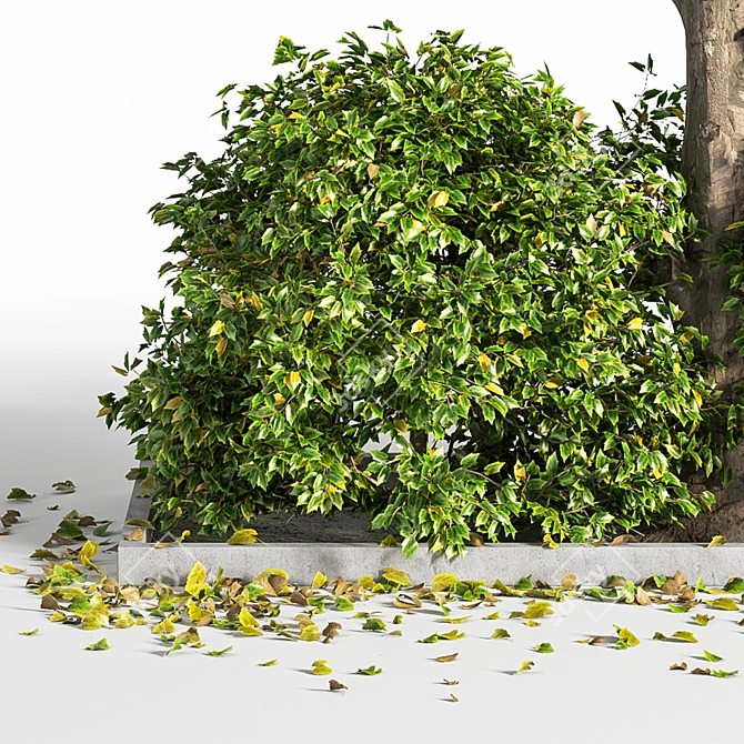 Outdoor Oasis Tree: Natural Beauty for Your Space 3D model image 4