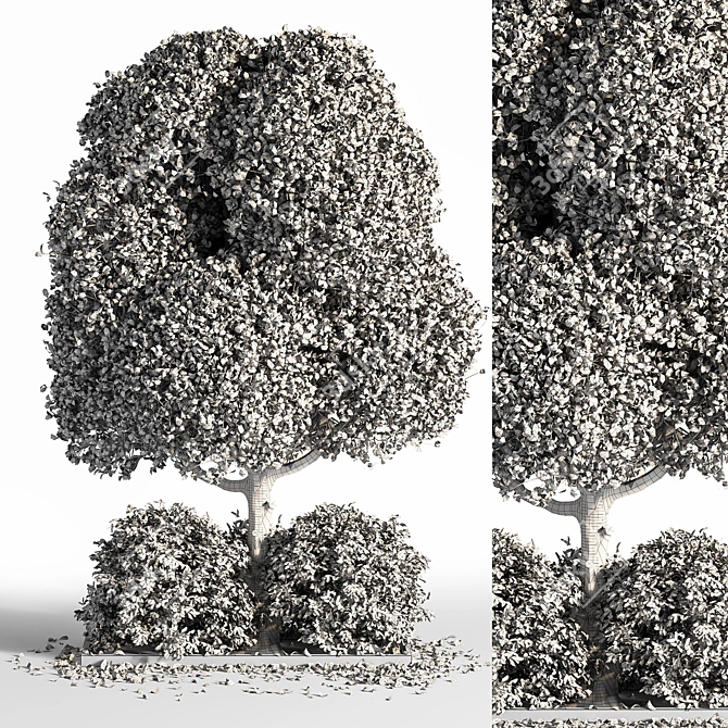 Outdoor Oasis Tree: Natural Beauty for Your Space 3D model image 6