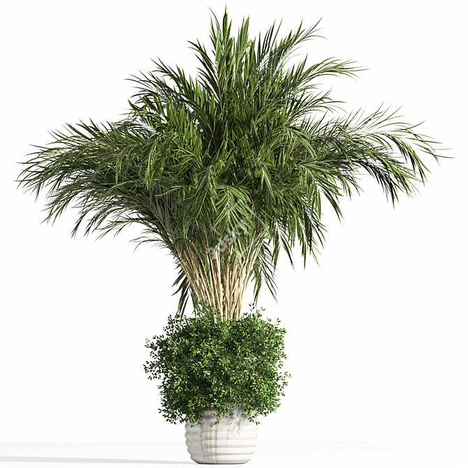 Modern Concrete Binjamin: Indoor Plant 3D model image 1