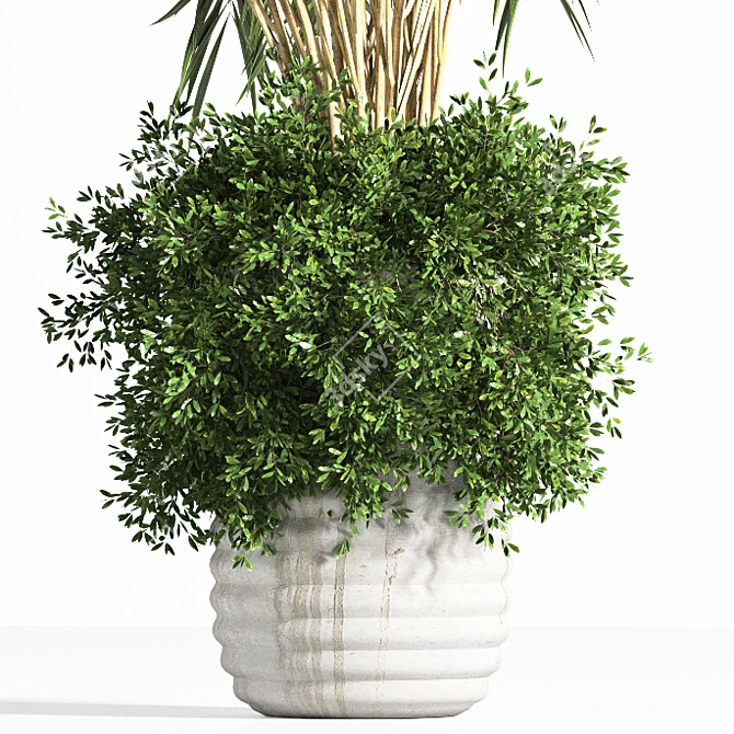 Modern Concrete Binjamin: Indoor Plant 3D model image 3