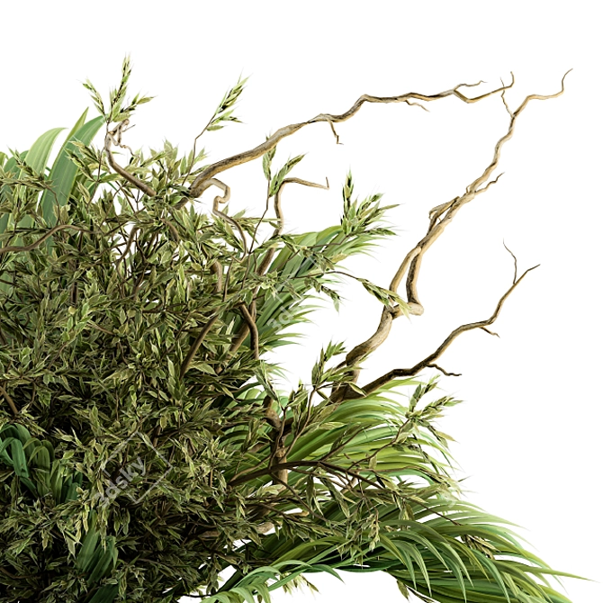 Tropical Elegance: Green Palm Bouquet 3D model image 3