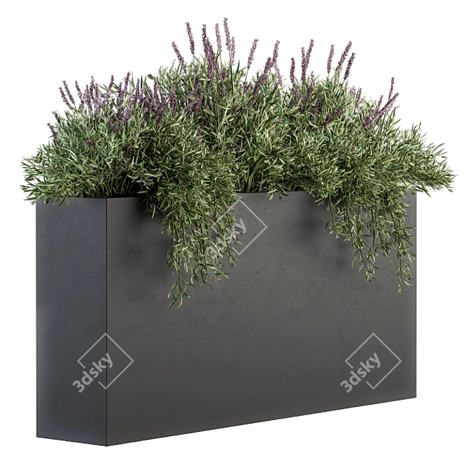 Lush Lavender Plant Box Set 3D model image 1