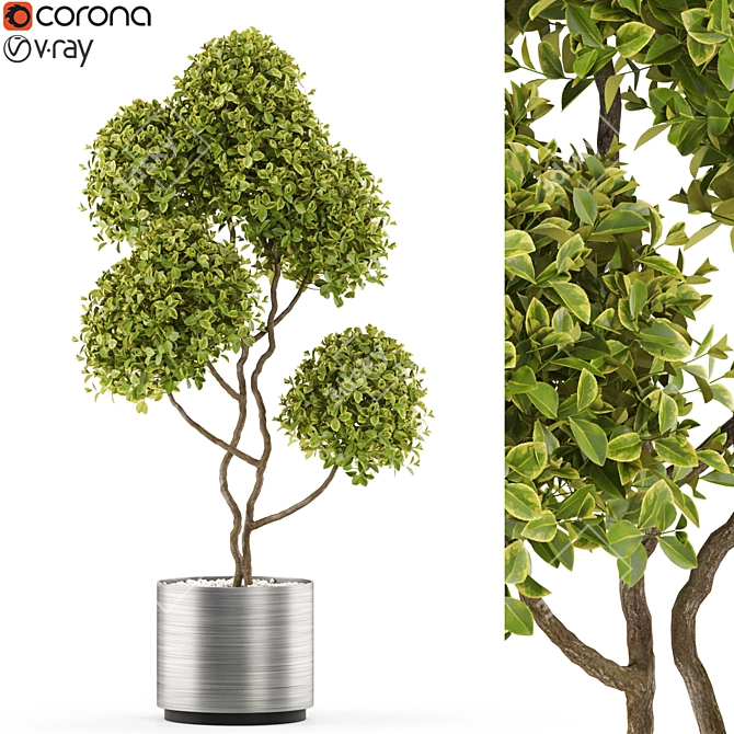 Exquisite Greenery Collection 3D model image 1