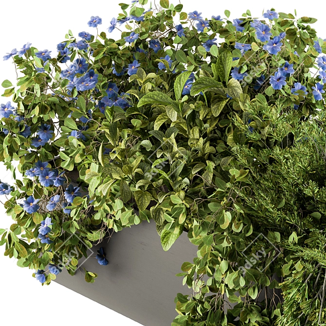Blue Flower Outdoor Plant Set 3D model image 3