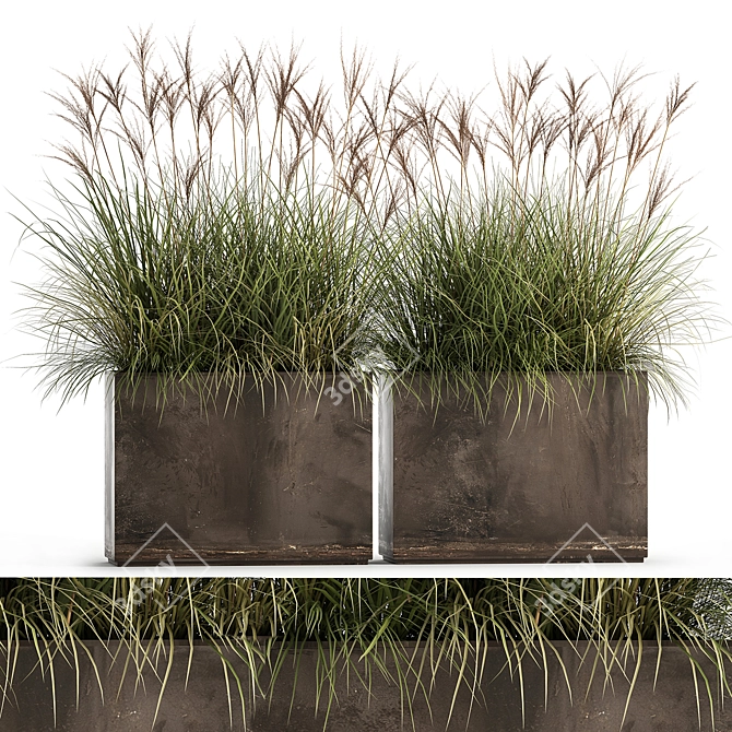 Exotic Plant Collection: Decorative Grasses, Reeds & More 3D model image 5