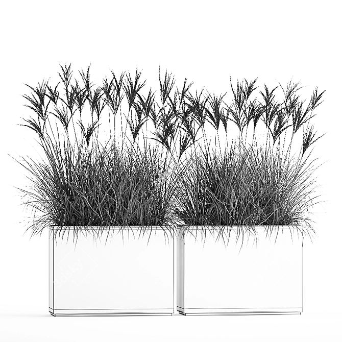 Exotic Plant Collection: Decorative Grasses, Reeds & More 3D model image 6