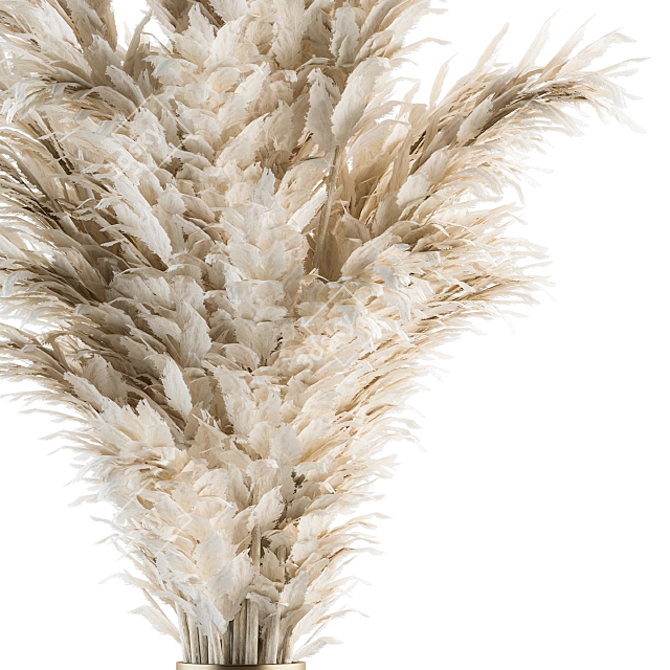 Pampas Bliss - Dried Delight! 3D model image 3