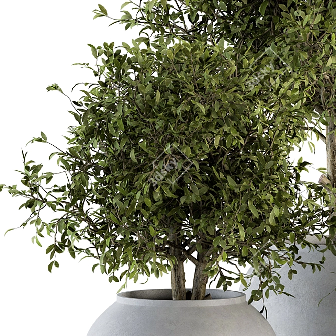 Green Oasis: Outdoor Plant Set 177 3D model image 2