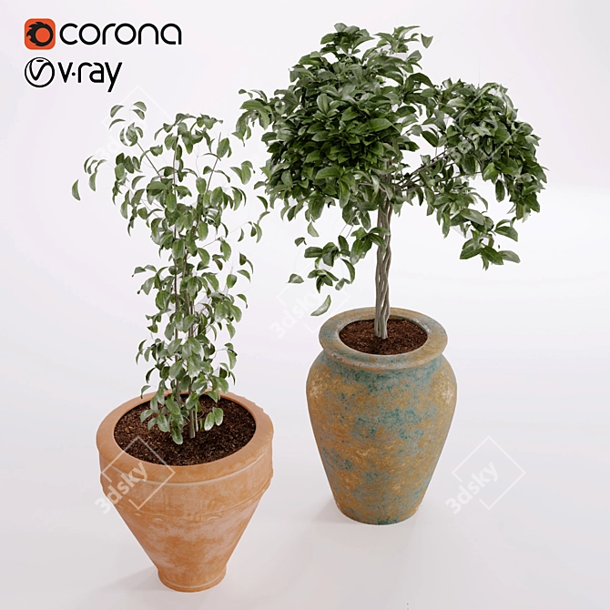 Rustic Boho Plant Collection 3D model image 2