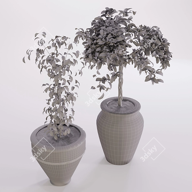 Rustic Boho Plant Collection 3D model image 3