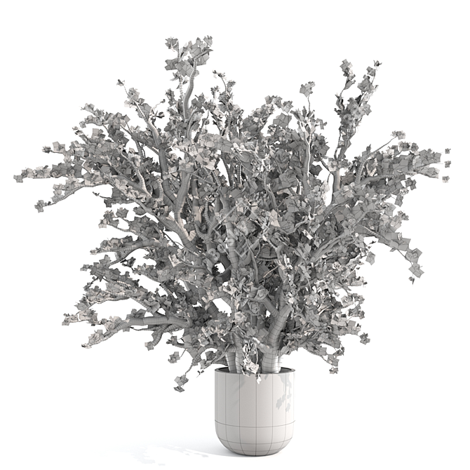 Tall Jade Plant: Lush and Lifelike 3D model image 3