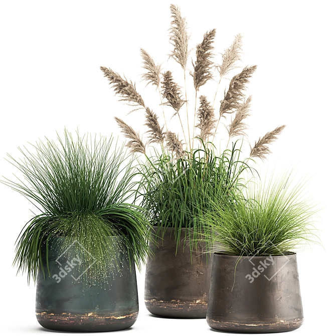 Exotic Plant Collection - Reclaimed Iron Pots 3D model image 1