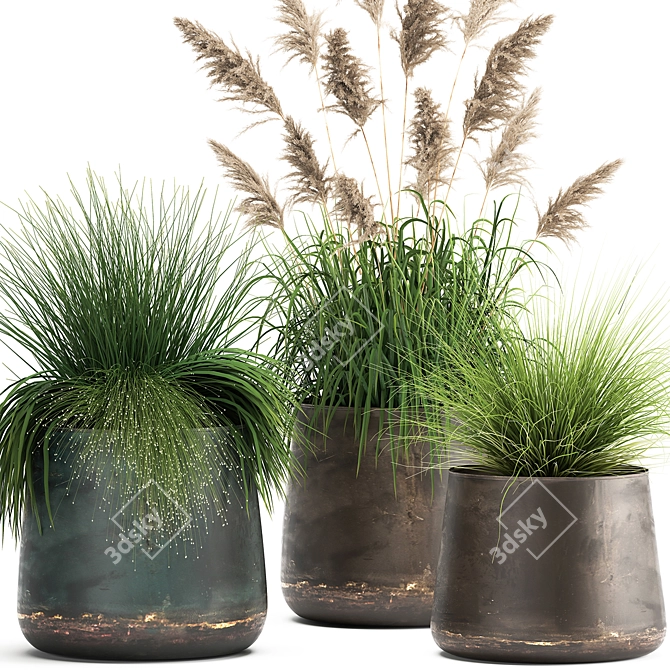 Exotic Plant Collection - Reclaimed Iron Pots 3D model image 2