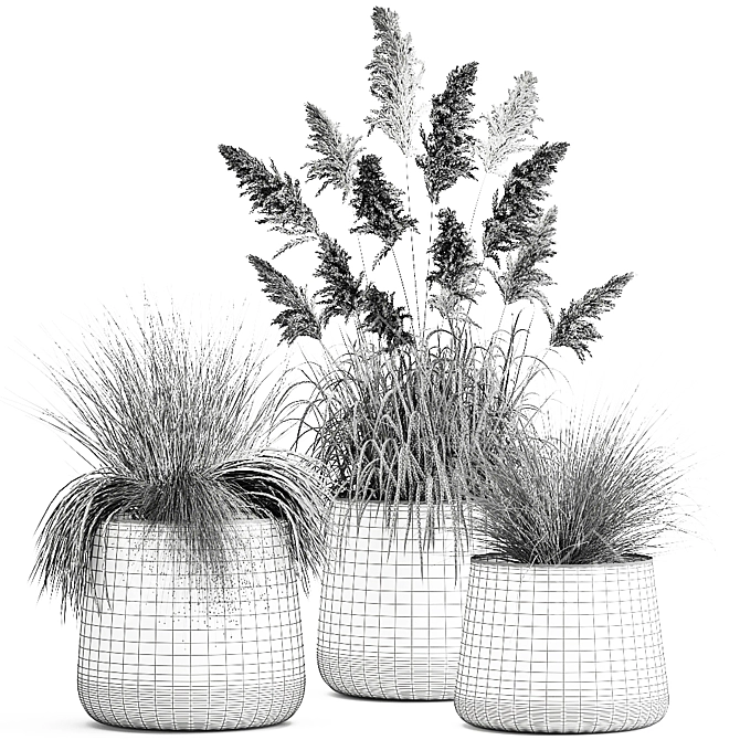 Exotic Plant Collection - Reclaimed Iron Pots 3D model image 7