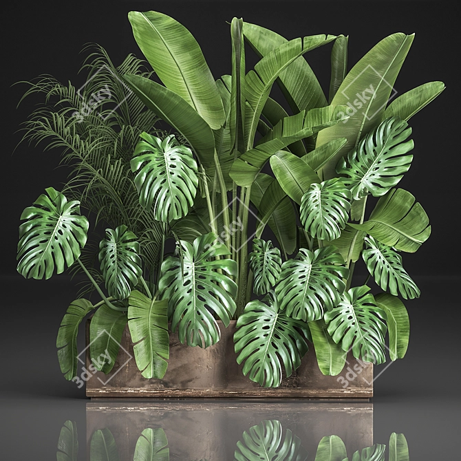 Exotic Plant Collection 3D model image 1