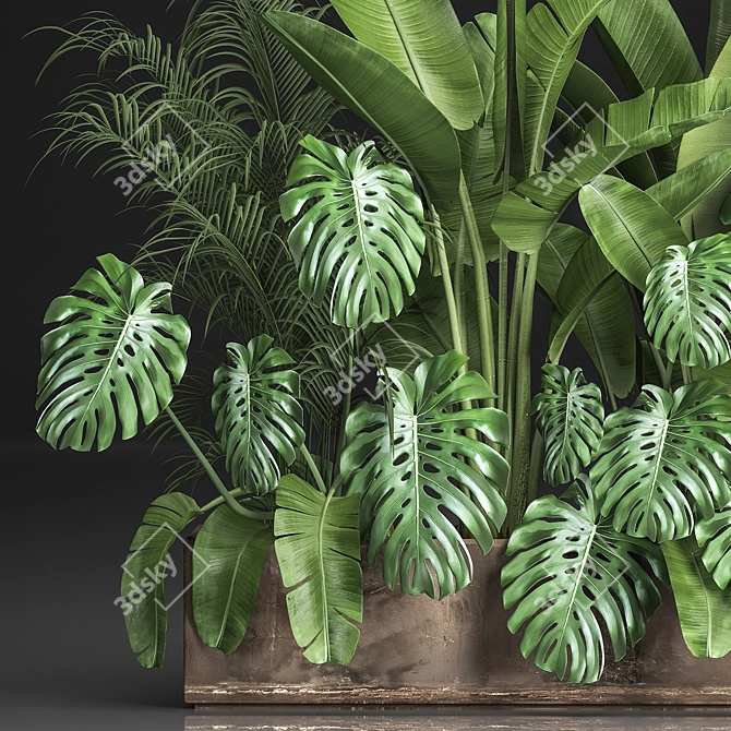 Exotic Plant Collection 3D model image 3