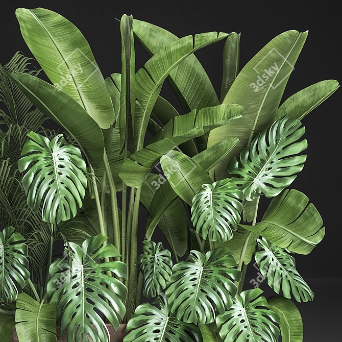 Exotic Plant Collection 3D model image 4