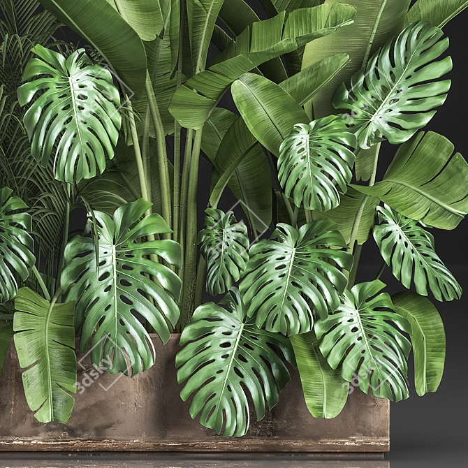 Exotic Plant Collection 3D model image 5