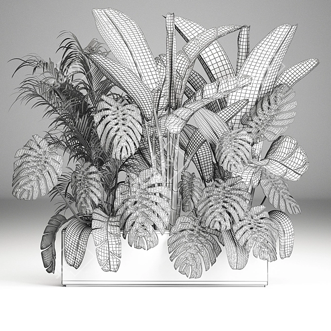 Exotic Plant Collection 3D model image 6