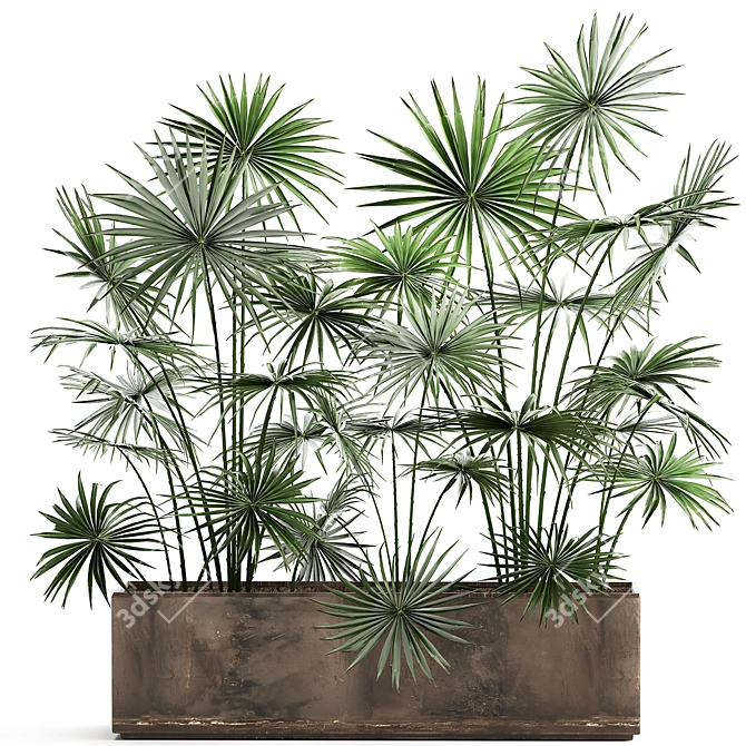 Tropical Palm Collection: Exotic Indoor & Outdoor Plants 3D model image 1