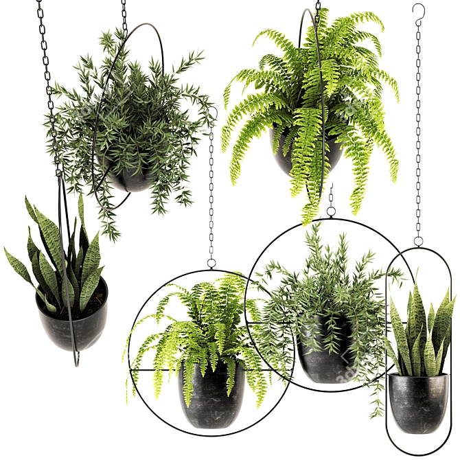 Versatile Plant Collection 002 3D model image 9