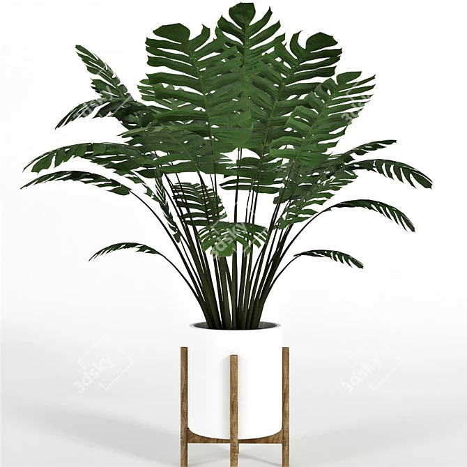 Green Haven Collection: 4 Indoor Plants 3D model image 2