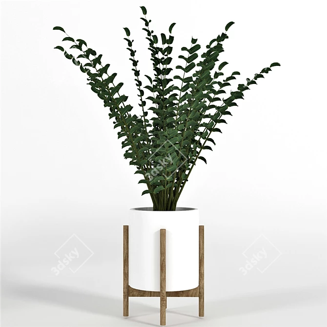 Green Haven Collection: 4 Indoor Plants 3D model image 3