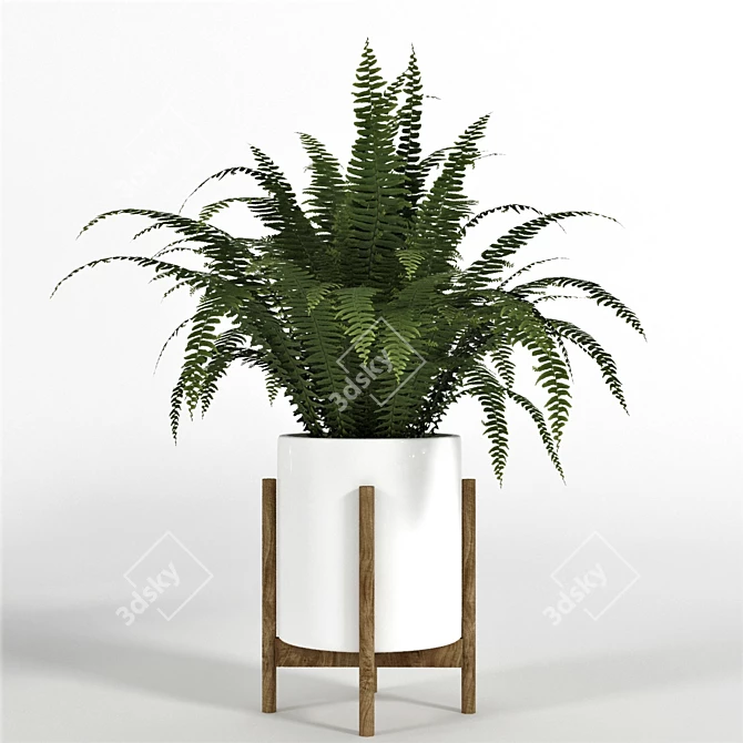 Green Haven Collection: 4 Indoor Plants 3D model image 4