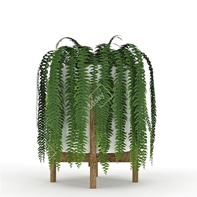 Green Haven Collection: 4 Indoor Plants 3D model image 5