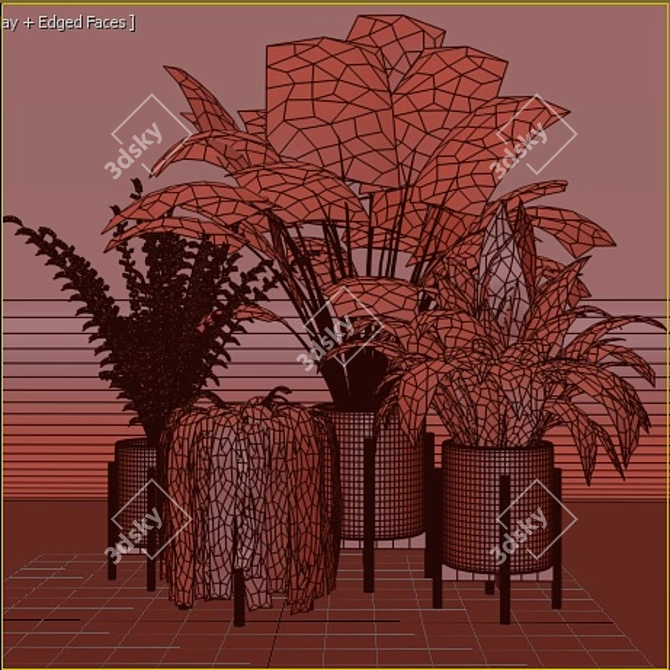 Green Haven Collection: 4 Indoor Plants 3D model image 6