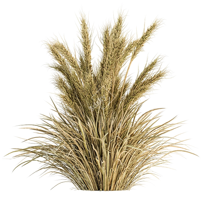 24-Piece Wheat Bush Set: Natural and Realistic 3D model image 6