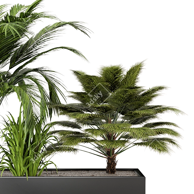 Outdoor Plant Set 011: V-Ray/Corona Collection 3D model image 4