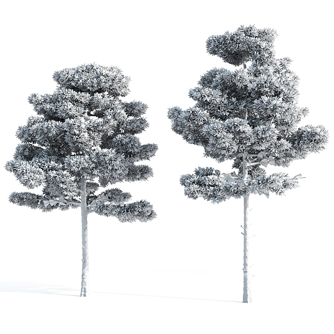 Natural Pine Tree 3D Model 3D model image 5