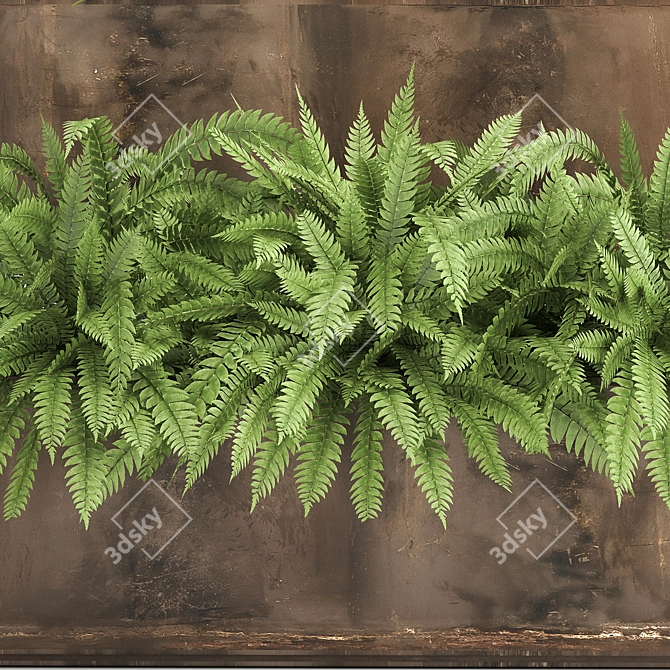 Tropical Plant Oasis 3D model image 2