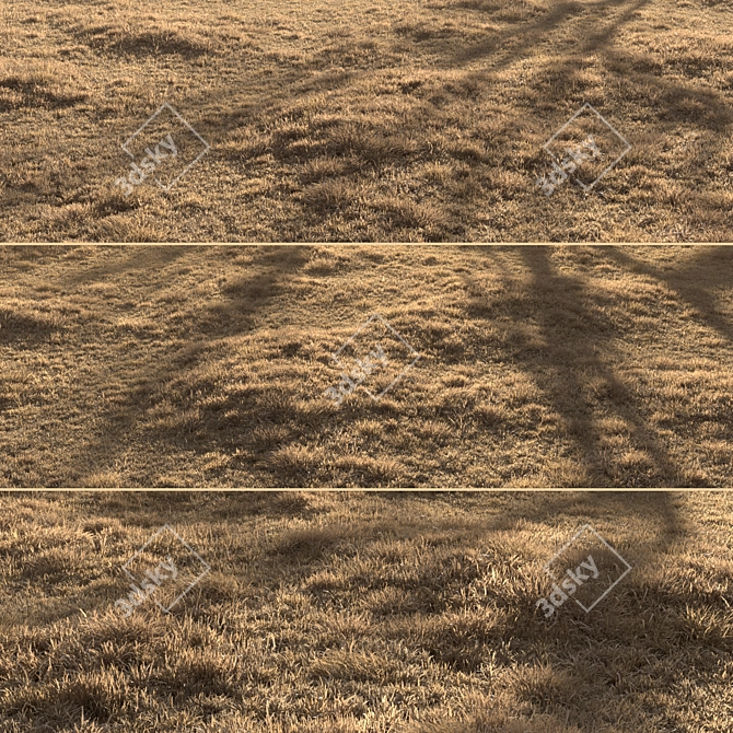 Dried Grass Landscape: 30 Scattered Patterns 3D model image 1