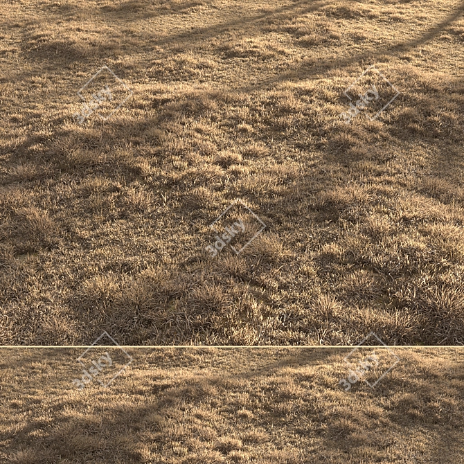 Dried Grass Landscape: 30 Scattered Patterns 3D model image 3