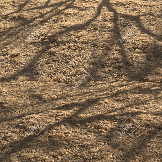 Dried Grass Landscape: 30 Scattered Patterns 3D model image 4