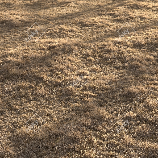 Dried Grass Landscape: 30 Scattered Patterns 3D model image 5