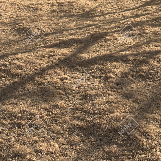 Dried Grass Landscape: 30 Scattered Patterns 3D model image 6