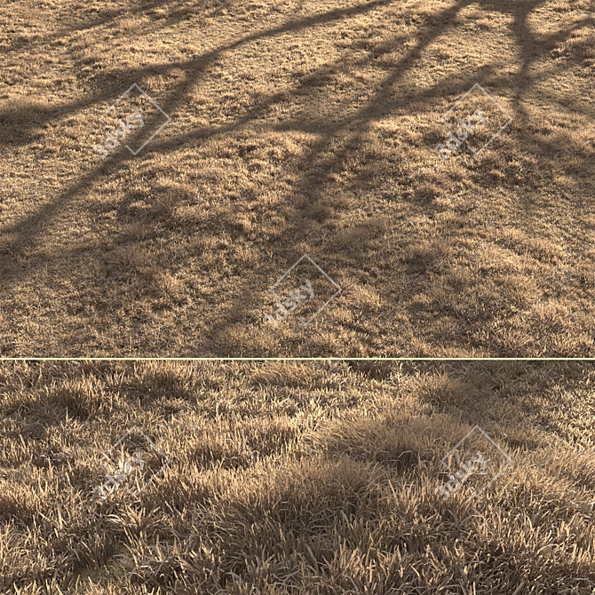 Dried Grass Landscape: 30 Scattered Patterns 3D model image 7