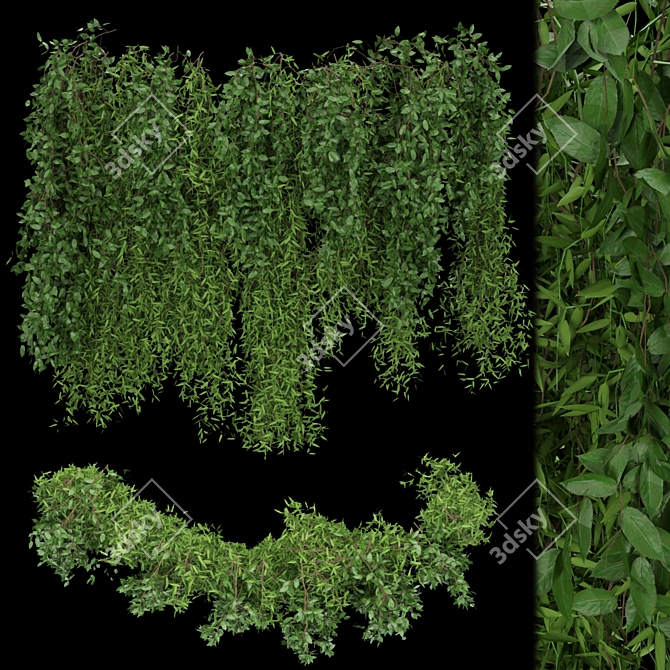 Botanical Bliss Collection Vol. 105 3D model image 1