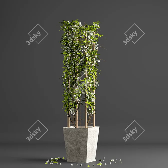 Tropical Grid Indoor Plant 3D model image 1